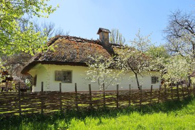 Ukrayna 'nın başkenti Kyiv Pirogovo' da Orta Transnistria 'dan kalma sazdan çatılı bir ev.
