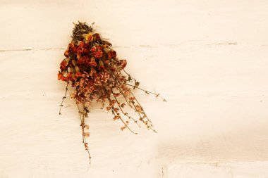 Ukrayna 'daki bir evde kurutulmuş çiçek buketi