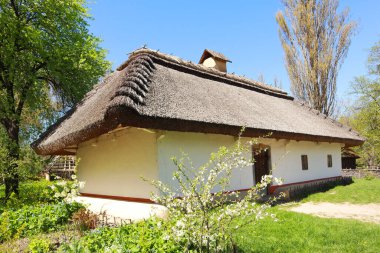 Whitewashed wooden house with a thatched roof from Podolia in skansen Pirogovo in Kyiv, Ukraine