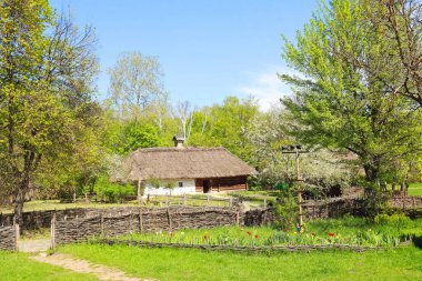 Whitewashed wooden house with a thatched roof from Podolia in skansen Pirogovo in Kyiv, Ukraine