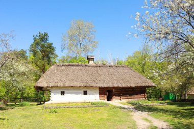 Whitewashed wooden house with a thatched roof from Podolia in skansen Pirogovo in Kyiv, Ukraine