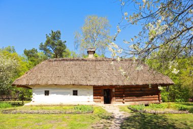 Whitewashed wooden house with a thatched roof from Podolia in skansen Pirogovo in Kyiv, Ukraine