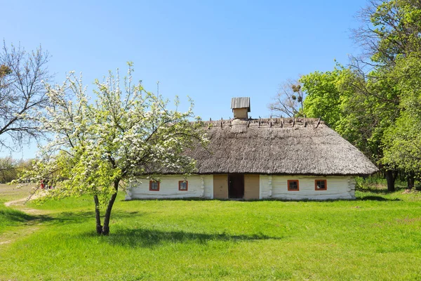 Weißgetünchtes Haus Mit Reetdach Aus Mittel Transnistrien Skansen Pirogovo Kiew — Stockfoto