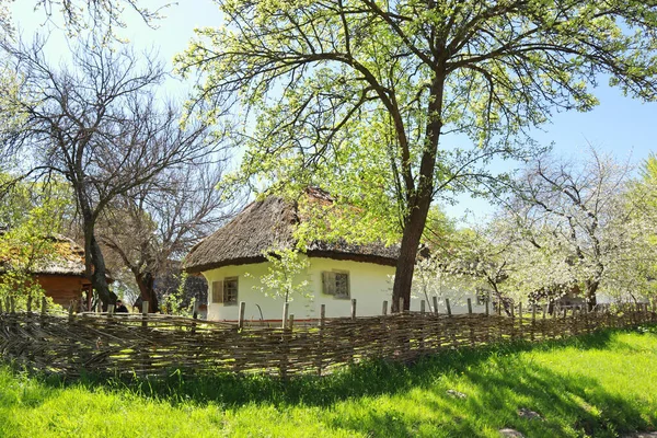 Whitewashed Wooden House Thatched Roof Podolia Skansen Pirogovo Kyiv Ukraine — Stok fotoğraf
