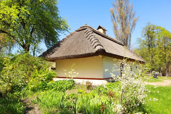 Whitewashed Wooden House Thatched Roof Podolia Skansen Pirogovo Kyiv Ukraine — Stockfoto