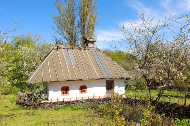 Ukrayna 'nın başkenti Kyiv' deki Orta Transnistria Pirogovo 'dan Ukrayna' ya ait Whitewashed Ukrayna vintage evi.