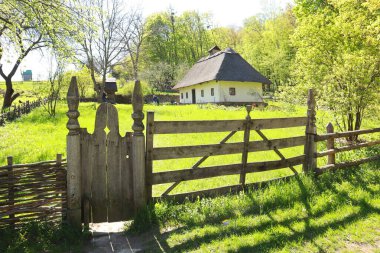  Whitewashed wooden house with a thatched roof from Podolia in skansen Pirogovo in Kyiv, Ukraine