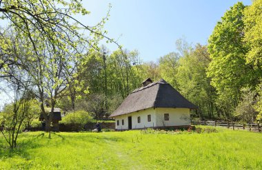  Whitewashed wooden house with a thatched roof from Podolia in skansen Pirogovo in Kyiv, Ukraine