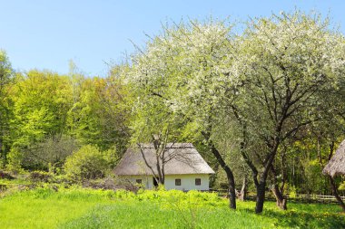 Ukrayna 'nın başkenti Kyiv' deki Orta Transnistria Pirogovo 'dan Ukrayna' ya ait Whitewashed Ukrayna vintage evi.