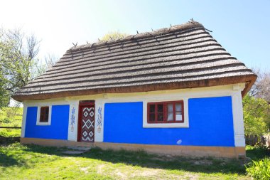 Ukrayna 'nın Kyiv kentindeki Skansen Pirogovo' da Podolia 'dan sazdan çatısı olan mavi boyalı bir ev.
