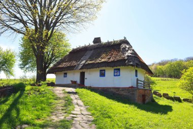 Ukrayna 'nın başkenti Kyiv' de Podolia Pirogovo 'dan sazdan bir çatısı olan bembeyaz bir ev.