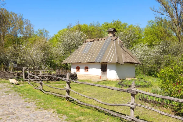 Whitewashed House Thatched Roof Middle Transnistria Skansen Pirogovo Kyiv Ukraine — Stock Photo, Image