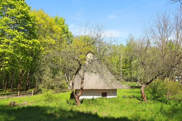 Λευκό Ξύλινο Σπίτι Thatched Οροφή Από Podolia Skansen Pirogovo Στο — Φωτογραφία Αρχείου