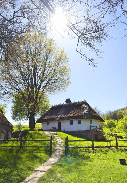 Λευκό Σπίτι Thatched Στέγη Από Podolia Skansen Pirogovo Στο Κίεβο — Φωτογραφία Αρχείου