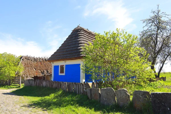 Ukrayna Nın Kyiv Kentindeki Skansen Pirogovo Podolia Dan Sazdan Çatısı — Stok fotoğraf