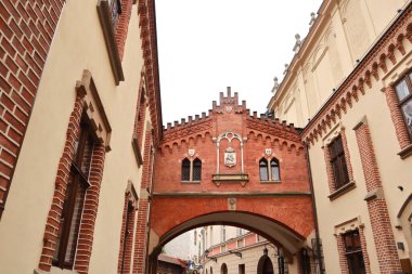 Krakow, Polonya 'daki Prens Czartoryski Müzesi