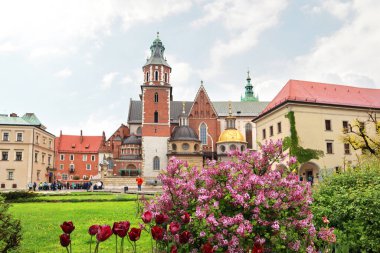 Krakow, Polonya 'daki Wawel Kalesi' nde Azizler Katedrali Stanislav ve Wenceslas