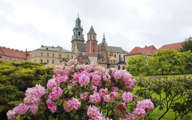 Krakow, Polonya 'daki Wawel Kalesi' nde Azizler Katedrali Stanislav ve Wenceslas