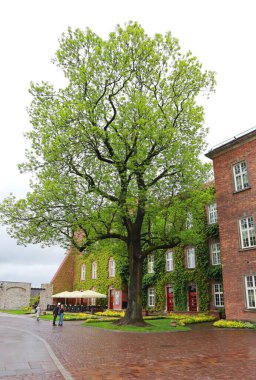  Polonya, Krakow 'daki Wawel Kalesi