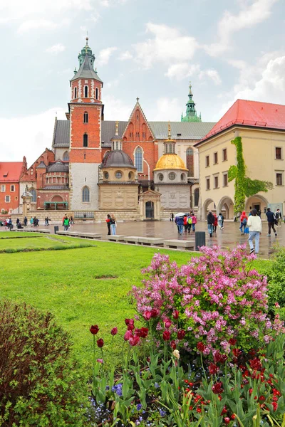 Καθεδρικός Ναός Των Αγίων Stanislav Και Wenceslas Στο Κάστρο Wawel — Φωτογραφία Αρχείου