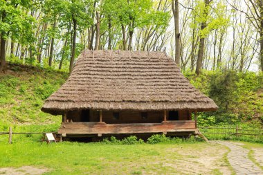 Wooden house with a thatched roof in skansen Museum of Folk Architecture and Life 