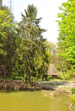 Ukrayna 'nın Lviv kentindeki Skansen Halk Mimarisi ve Hayatı Müzesi 