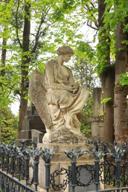 Lviv, Ukrayna 'daki Lychakiv Mezarlığı' nda mermer bir mezar taşı.