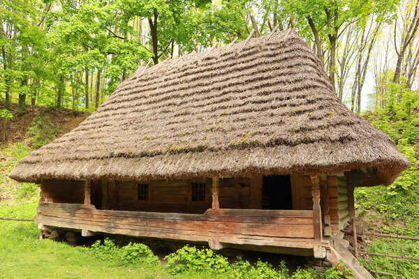 Деревянный дом с соломенной крышей в Музее народной архитектуры и быта "Шевченковский роща" во Львове, Украина