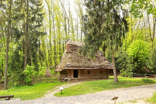 Wooden House Thatched Roof Skansen Museum Folk Architecture Life Shevchenkivskyi — Stock Photo, Image