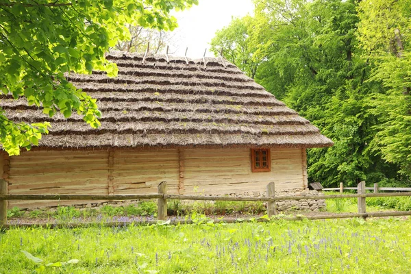 Drewniana Chata Skansen Muzeum Architektury Ludowej Życia Szewczenkowski Gaj Lwowie — Zdjęcie stockowe