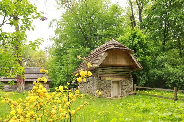 Celeiro Tradicional Ucraniano Século Skansen Museum Folk Architecture Life Shevchenkivskyi — Fotografia de Stock