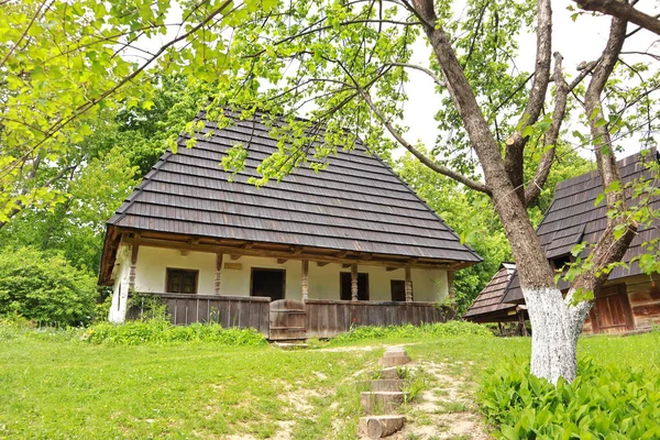 Zabytkowy Dom Drewnianym Dachem Skansen Muzeum Architektury Ludowej Życia Szewczenkowski — Zdjęcie stockowe