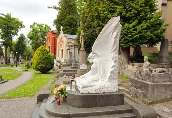 Tumbstone Escultura Igor Bylozyr Cementerio Lychakiv Lviv Ucrania — Foto de Stock
