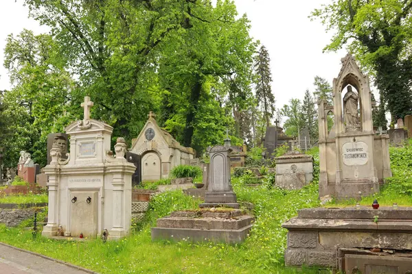 Посмотреть Лычаковское Кладбище Летнее Время Львове Украина Лицензионные Стоковые Фото