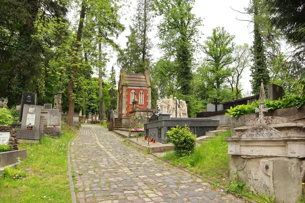Посмотреть Лычаковское Кладбище Летнее Время Львове Украина Стоковая Картинка