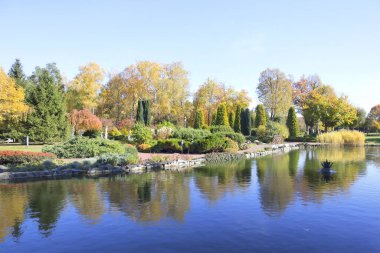 Mezhyhirya 'daki sonbahar parkı (eski başkan Yanukoviç' in ikamet yeri) Ukrayna 'nın Kyiv bölgesinde