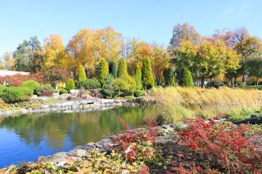Mezhyhirya 'daki sonbahar parkı (eski başkan Yanukoviç' in ikamet yeri) Ukrayna 'nın Kyiv bölgesinde