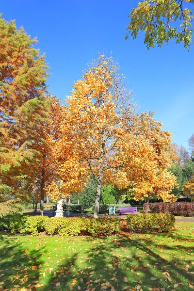 Jesienny Park Meżyhiryi Była Rezydencja Prezydenta Janukowycza Obwodzie Kijowskim Ukraina — Zdjęcie stockowe