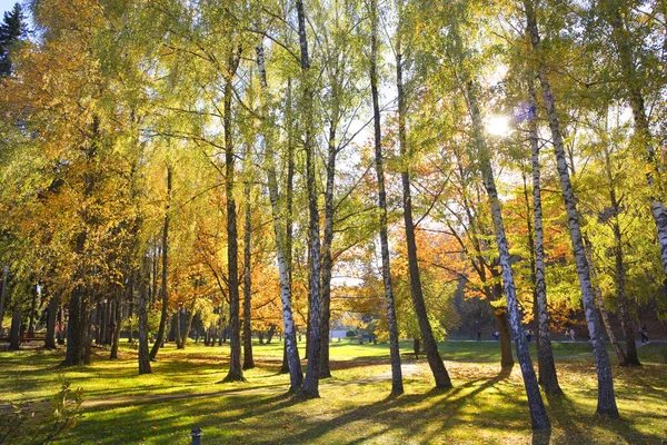 Mezhyhirya Daki Sonbahar Parkı Eski Başkan Yanukoviç Ikamet Yeri Ukrayna — Stok fotoğraf