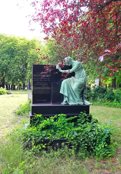 헝가리 부다페스트의 유명한 Kerepeshi 묘지에서 — 스톡 사진