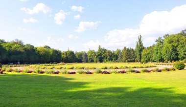 Macaristan, Budapeşte 'deki Margaret Adası' nda Gül Bahçesi