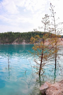 Yaz günü Ukrayna 'nın Zhytomyr Oblastı' nda Druzhbovsky taş ocağı manzarası