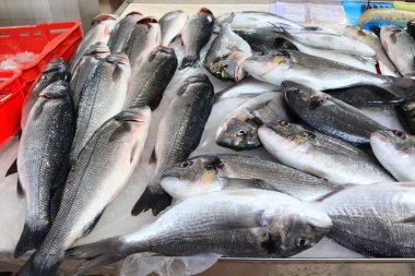 Hırvatistan 'ın Split kentindeki balık pazarında deniz ürünleri