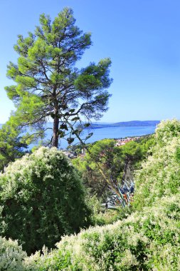  Hırvatistan 'ın Split kentindeki Forest Park Marjan' dan Panorama