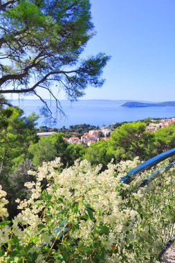  Hırvatistan 'ın Split kentindeki Forest Park Marjan' dan Panorama