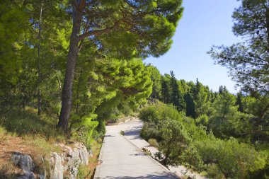 Hırvatistan 'ın Split kentindeki Marjan Ormanı