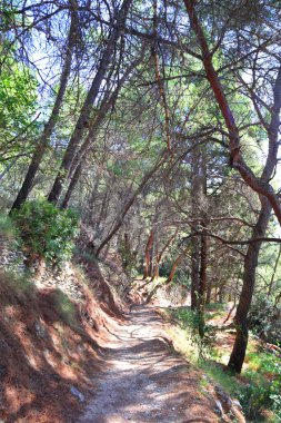 Hırvatistan 'ın Split kentindeki Forest Park Marjan Yolu