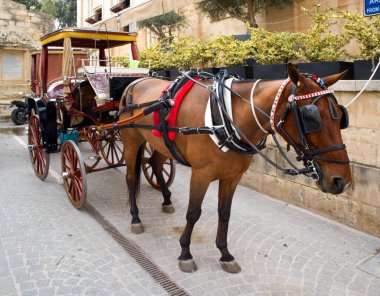 Valletta, Malta 'da at arabası.