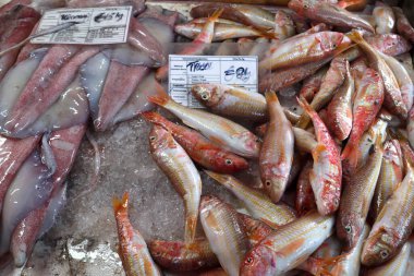 Balıkçı köyü Marsaxlokk, Malta 'da taze kalamar ve kırmızı kefal satılıyor.