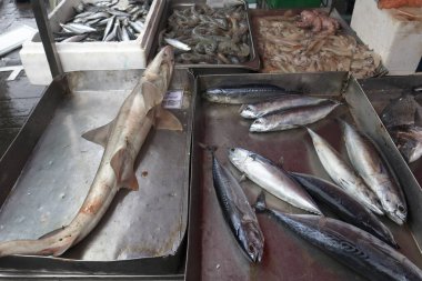  Marsaxlokk, Malta 'da satılık taze deniz ürünleri ve kulübe.
